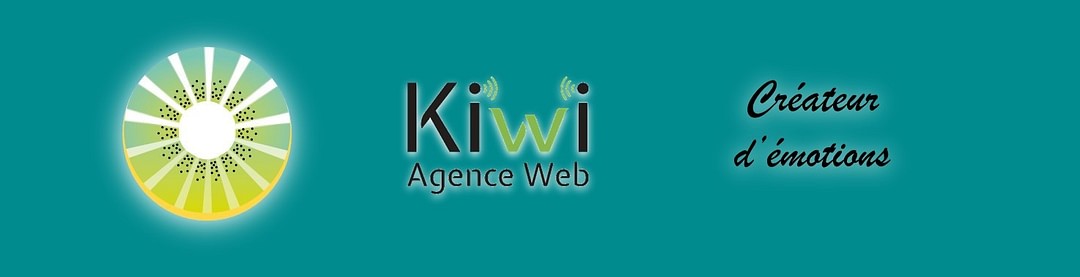 Kiwi web cover